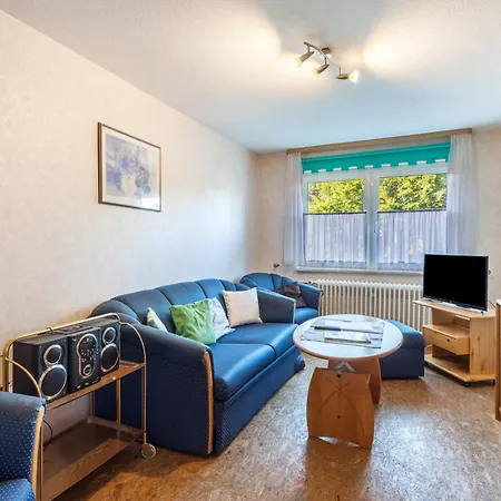 Ferienwohnungen Lindenhof Willingen  Buitenkant foto